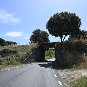 vista_puente_entrada_a_fuentes_de_bejar